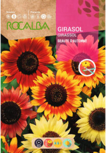 girasol